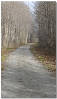 Walking Along the Grand Valley Trail